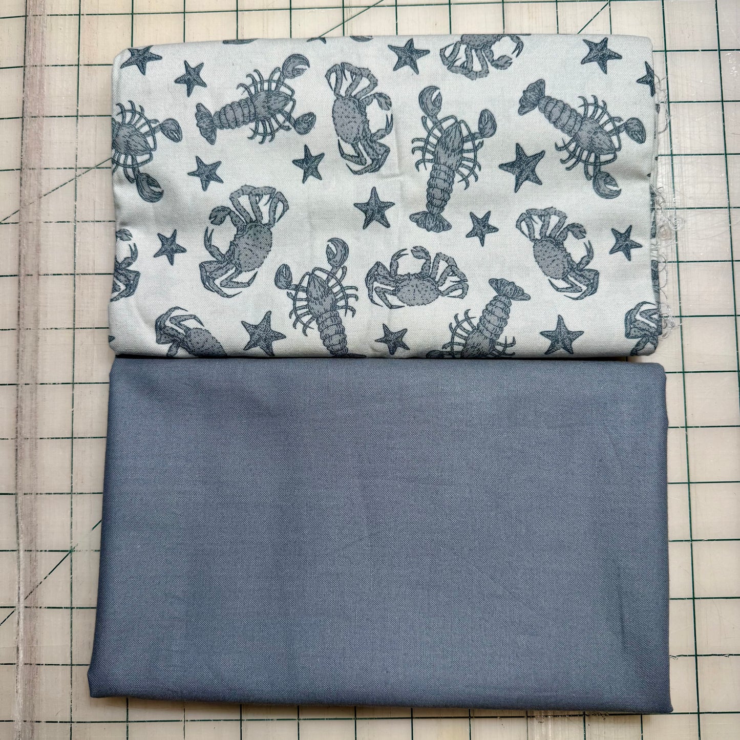 🌻 Sea Critters with Grey - Dynamic Duo 2 - 1-yard Cuts