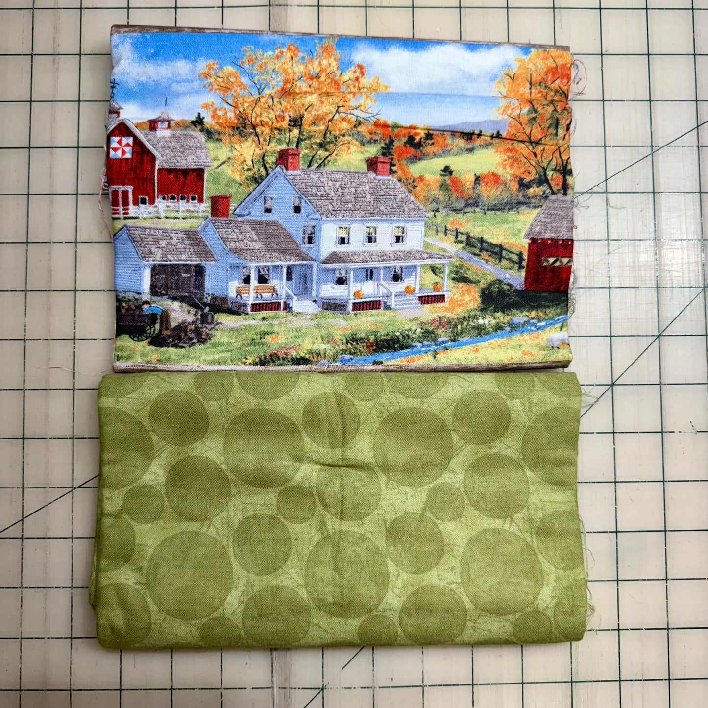 🌻 Farmhouse Auutumn with Green - Dynamic Duo 2 - 1-yard Cuts