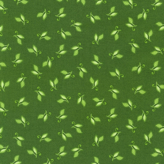 Flowerhouse Sunshine - Leaves Fresh Sage- FLH-20253-459- Robert Kaufman