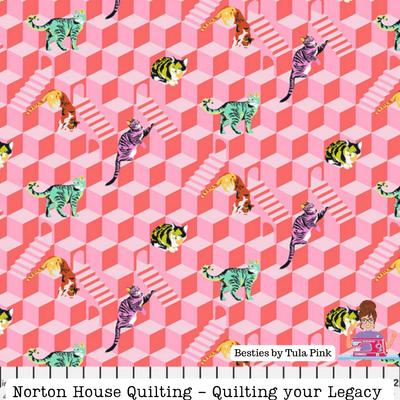 Blossom Sitting Pretty Fabric || Besties - Tula Pink - Free Spirit Fabrics