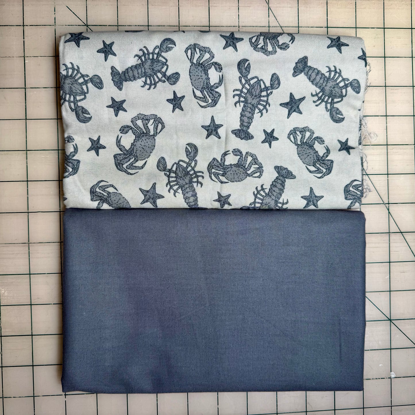🌻 Sea Critters with Grey - Dynamic Duo 2 - 1-yard Cuts