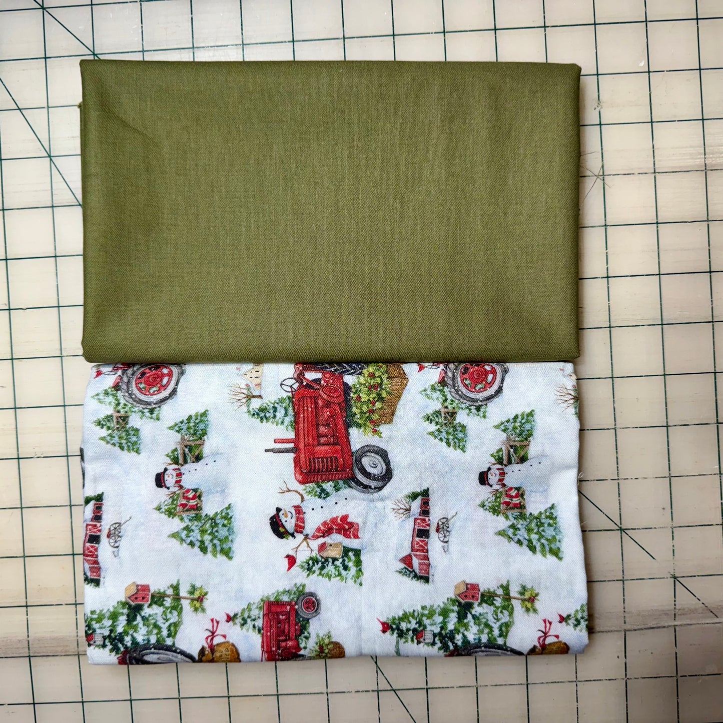 🌻 Winter Snowman with Green - Dynamic Duo 2 - 1-yard Cuts