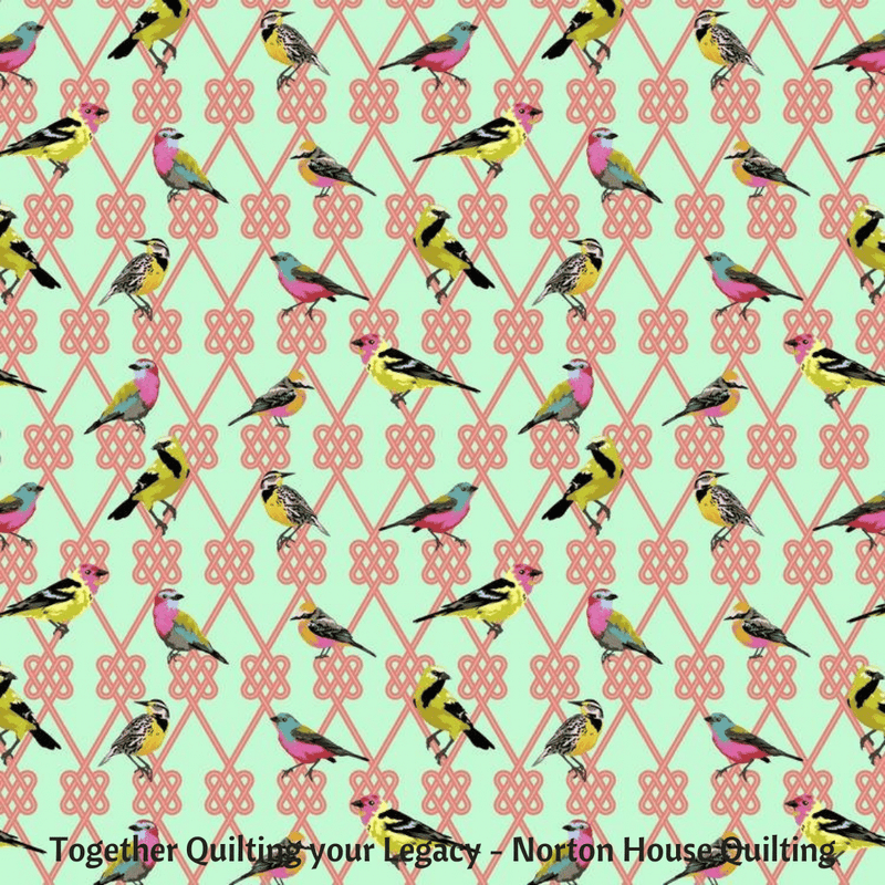 In a Finch Dawn – Moon Garden by Tula Pink ||  Free Spirit Fabrics