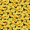 Hydrangea Garden - Black Tulip Digitally Printed - 5889-99- Studio E - Flower Prints