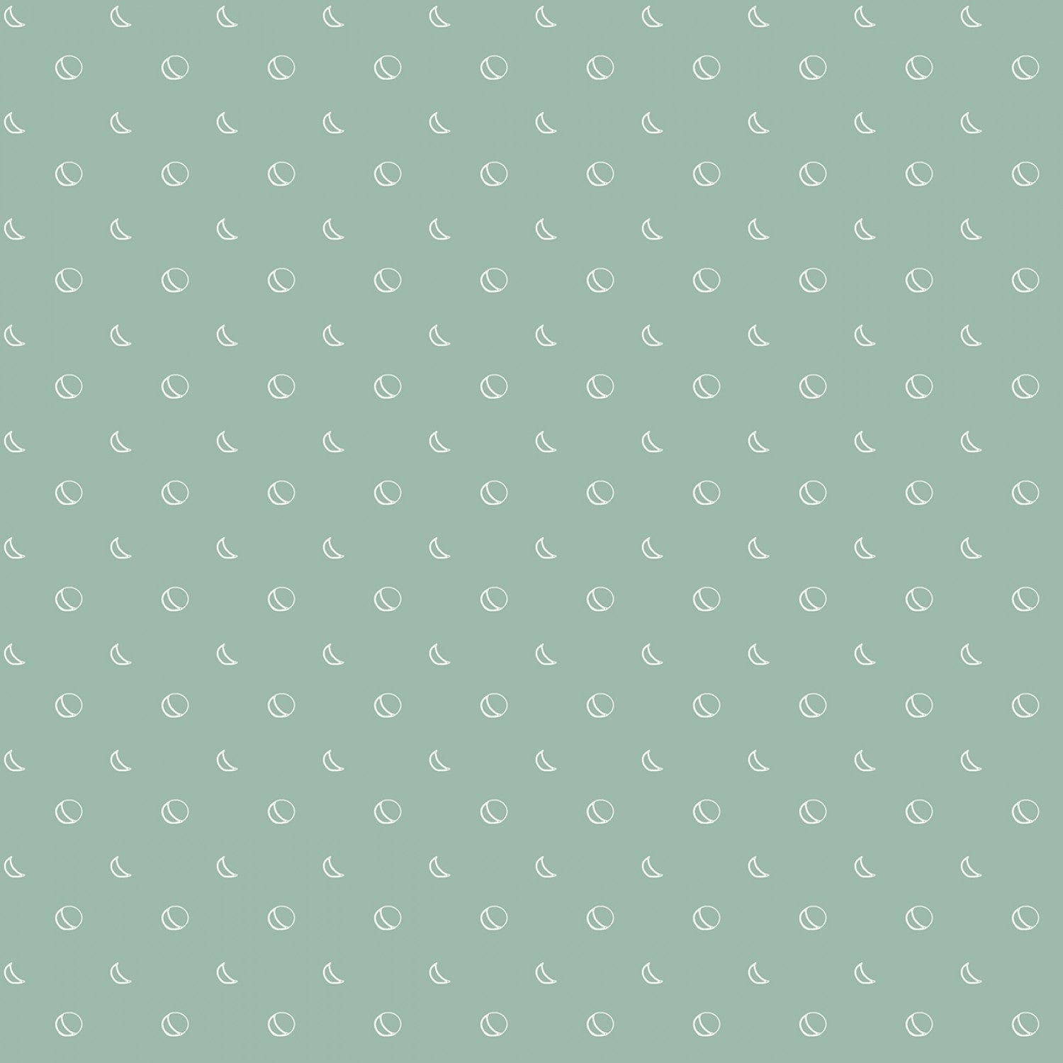 Beneath the Western Sky - C11196R-SEAFOAM -  Riley Blake - Flower Prints