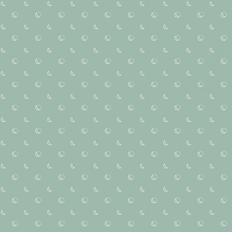 Beneath the Western Sky - C11196R-SEAFOAM -  Riley Blake - Flower Prints