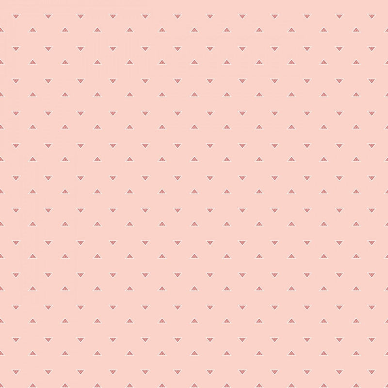 Beneath the Western Sky - C11197R-PINK -  Riley Blake - Flower Prints