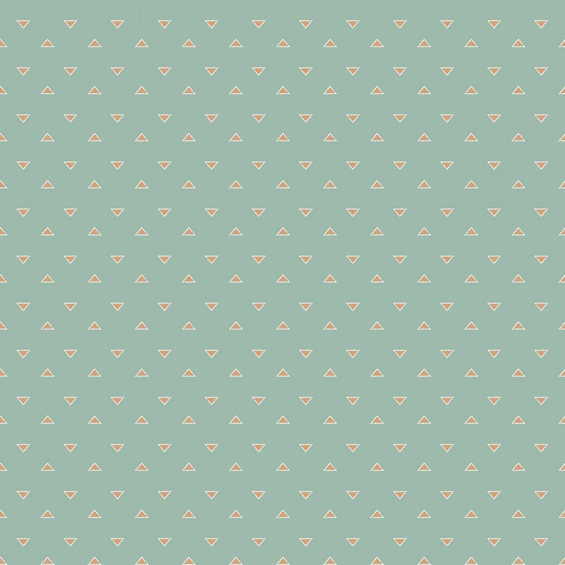 Beneath the Western Sky - C11197R-SEAFOAM -  Riley Blake - Flower Prints