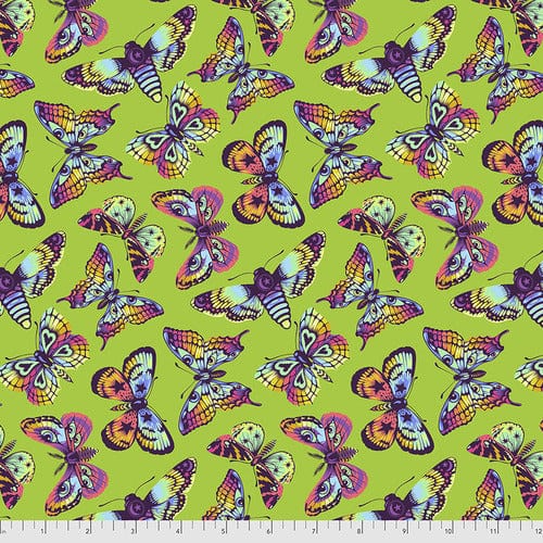 Butterfly Kisses - Avocado - Daydreamer - Freespirit