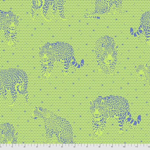 Lil Jaguars - Kiwi - Daydreamer - Freespirit