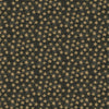 Halloween Whimsy - Stars Parchment -  Riley Blake - Halloween